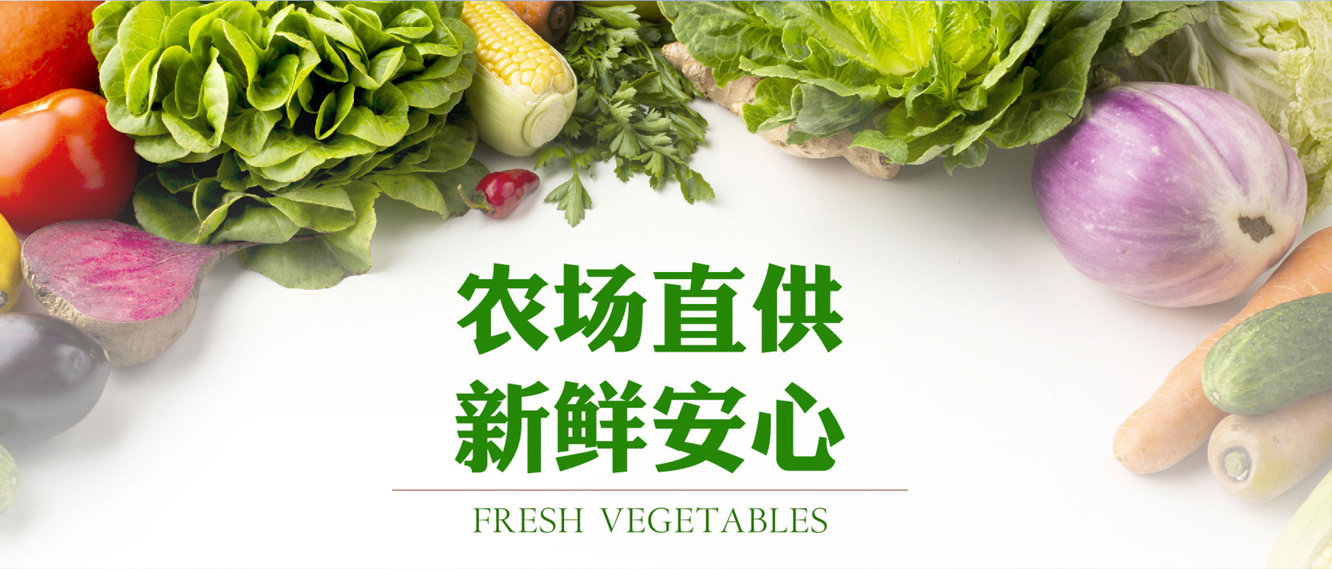 山东航佳进出口有限公司