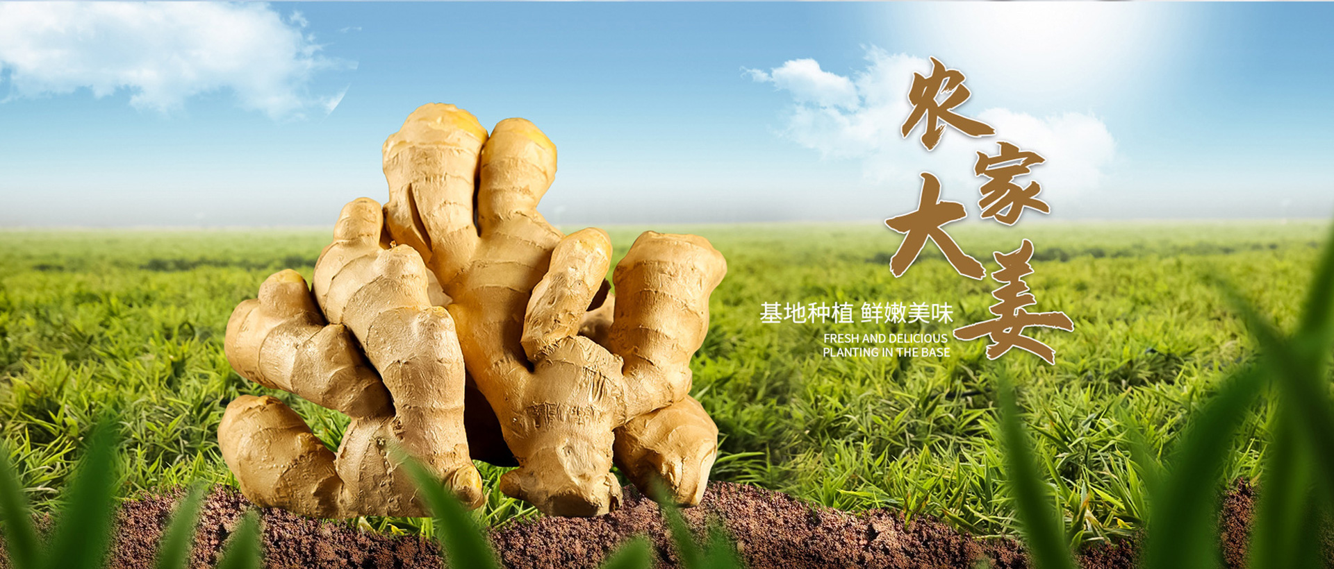 山东航佳进出口有限公司